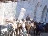 Donkey trail from Thira to Athinios
