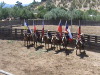 Fiesta Rodeo Hacienda Valparaiso Chile