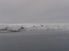 Admiralty Bay King George Island, Antarctica