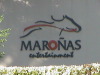 A day at the Maronas Races, Montevideo, Uruguay