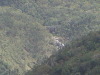 Rain Forest Skyway Cairns