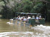 WW2 Army Duck Rain forest ride Kuranda Cairns